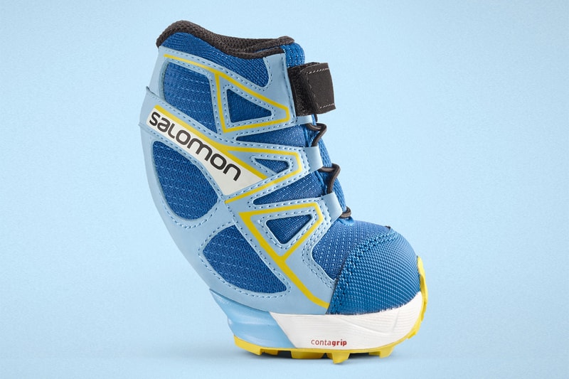 サロモンがブランド発の犬用トレイルランニングシューズを発表？ salomon first dog shoe cross paw release info APRIL FOOLS' DAY Joke