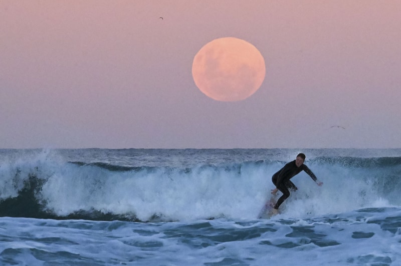 世界各地の夜空に咲いた“スーパーフラワー・ブラッドムーン”をチェック Take a Look at the Rare “Super Flower Blood Moon” From United States South America Asia Australia lunar eclipse blood moon supermoon NASA space 