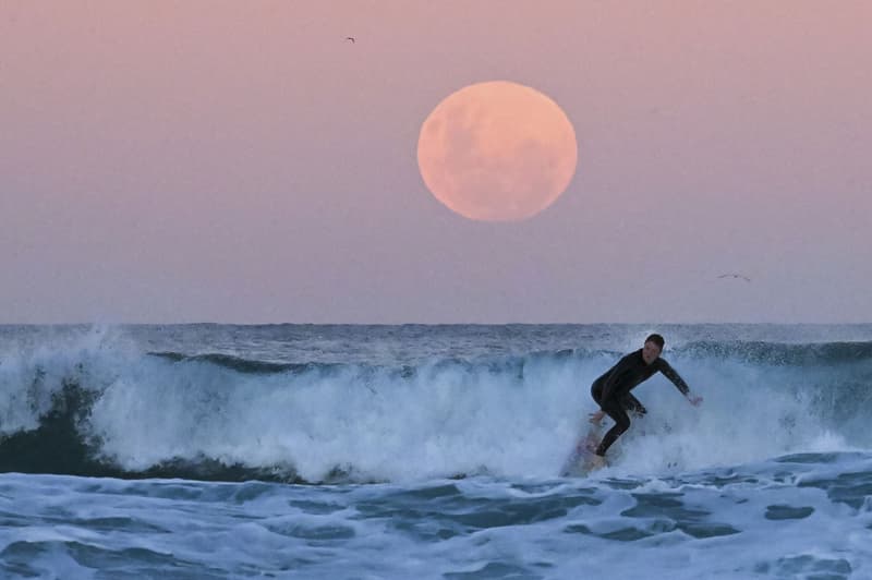 世界各地の夜空に咲いた“スーパーフラワー・ブラッドムーン”をチェック Take a Look at the Rare “Super Flower Blood Moon” From United States South America Asia Australia lunar eclipse blood moon supermoon NASA space