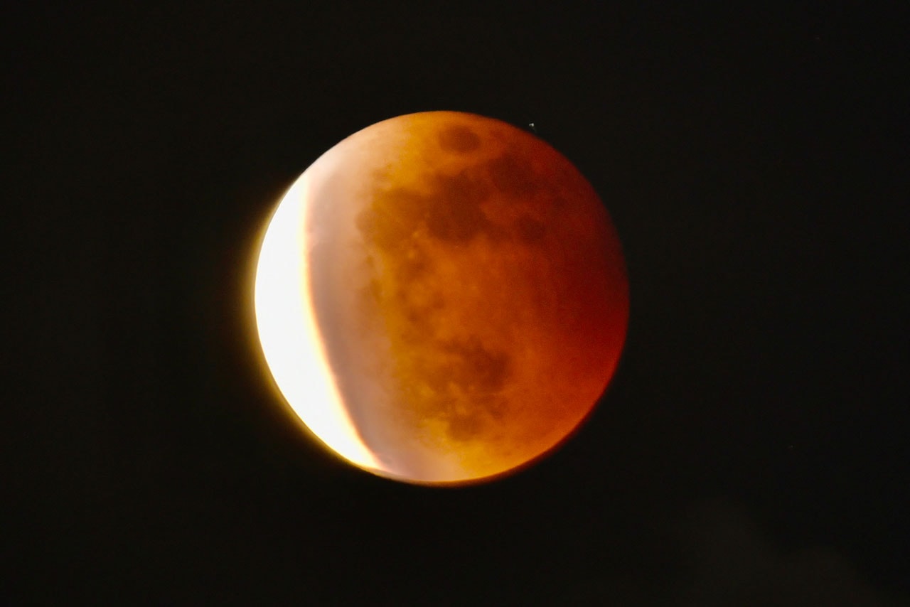 世界各地の夜空に咲いた“スーパーフラワー・ブラッドムーン”をチェック Take a Look at the Rare “Super Flower Blood Moon” From United States South America Asia Australia lunar eclipse blood moon supermoon NASA space 