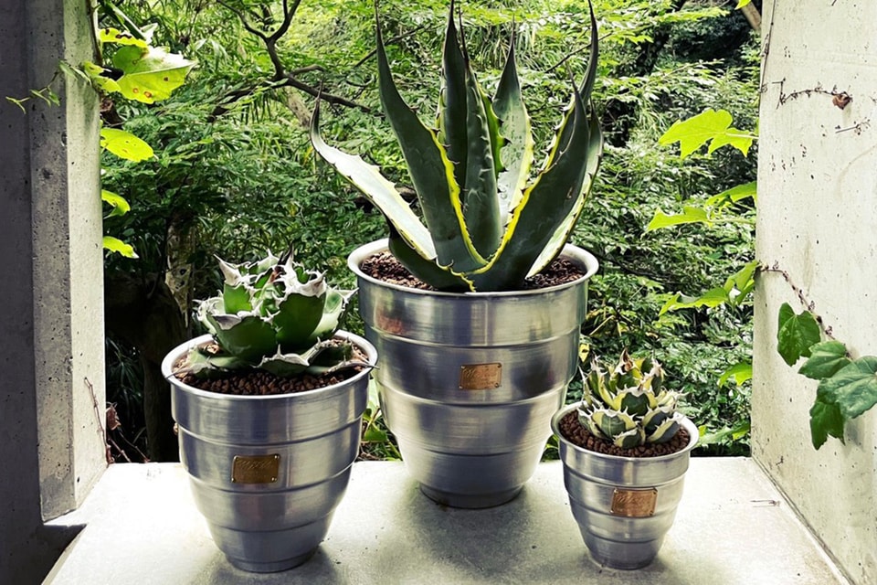 アガベと鉢のイベントがデイズにて開催 | Hypebeast.JP 