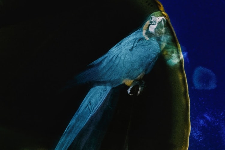 Zaha Hadid Design とカリモク家具がコラボプロダクトを発表