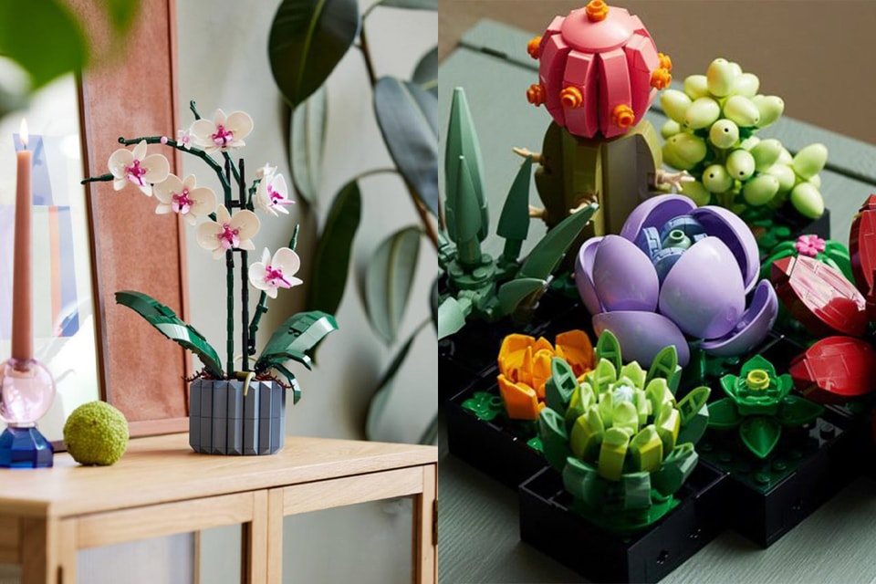 レゴ から 水やり不要 な胡蝶蘭と多肉植物が登場 Hypebeast Jp レゴ から 水やり不要 な胡蝶蘭と多肉植物が登場 Hypebeast Jp
