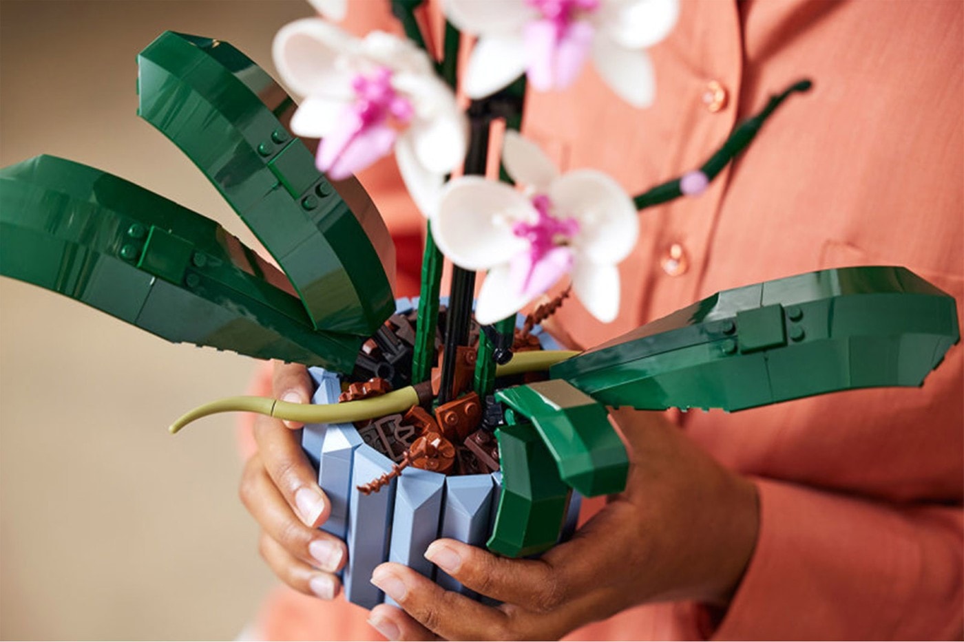 レゴ®︎から“水やり不要”な胡蝶蘭と多肉植物が登場 LEGO Creator Expert Botanical Collection Orchid Succulents Teaser