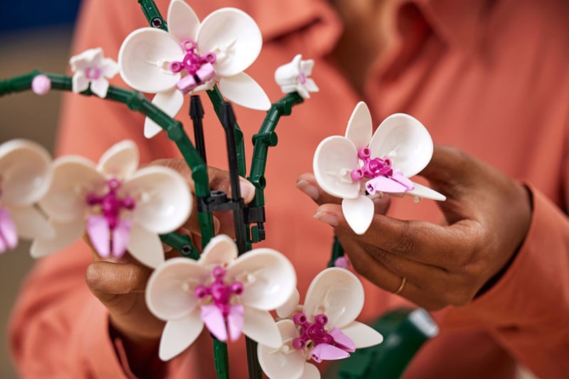 レゴ®︎から“水やり不要”な胡蝶蘭と多肉植物が登場 LEGO Creator Expert Botanical Collection Orchid Succulents Teaser