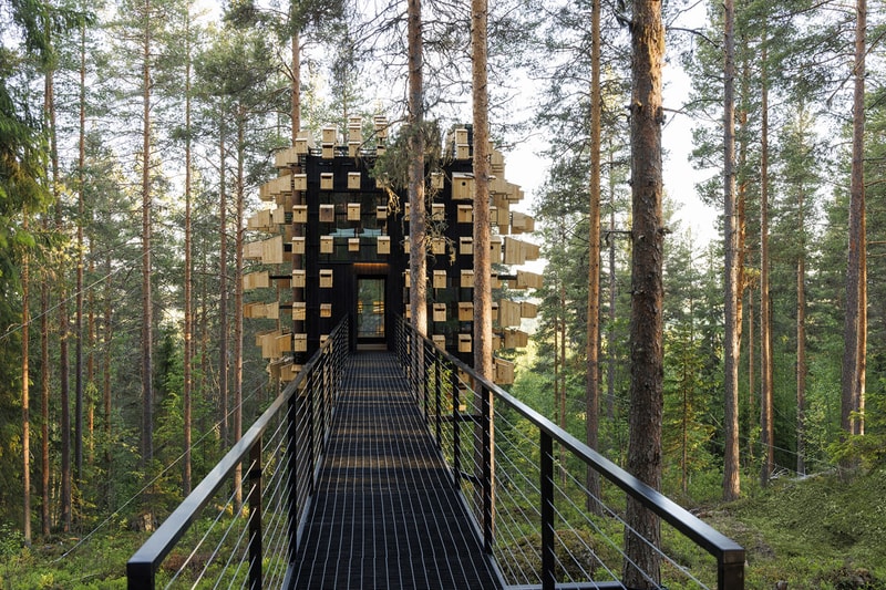 鳥の巣に囲まれたツリーハウスホテルが誕生 BIG's Spherical Treehouse Hotel Room Opens to Visitors Biosphere