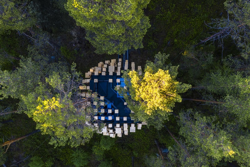 鳥の巣に囲まれたツリーハウスホテルが誕生 BIG's Spherical Treehouse Hotel Room Opens to Visitors Biosphere