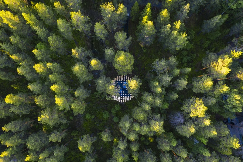 鳥の巣に囲まれたツリーハウスホテルが誕生 BIG's Spherical Treehouse Hotel Room Opens to Visitors Biosphere