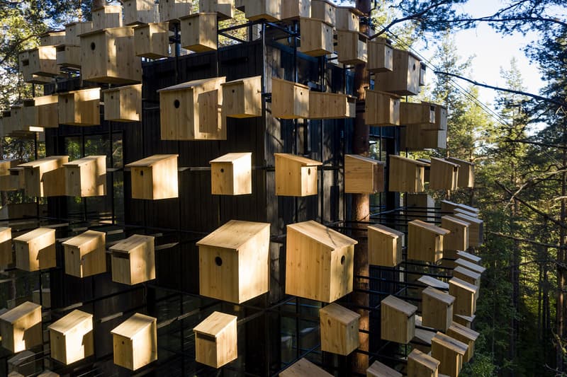 鳥の巣に囲まれたツリーハウスホテルが誕生 BIG's Spherical Treehouse Hotel Room Opens to Visitors Biosphere