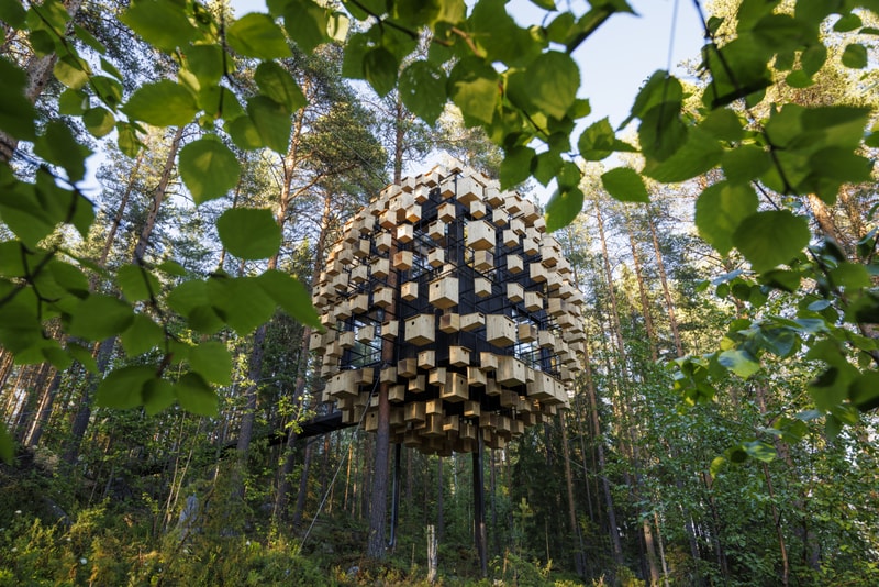 鳥の巣に囲まれたツリーハウスホテルが誕生 BIG's Spherical Treehouse Hotel Room Opens to Visitors Biosphere