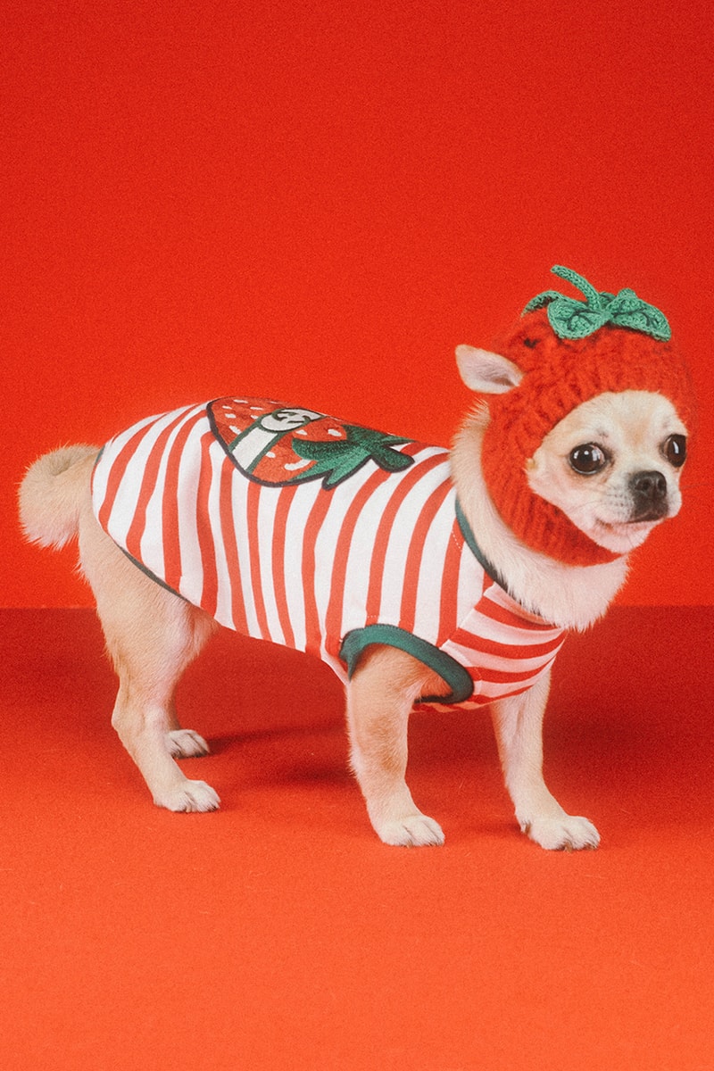 グッチから新たにペットコレクションが誕生 gucci new pets collection release info