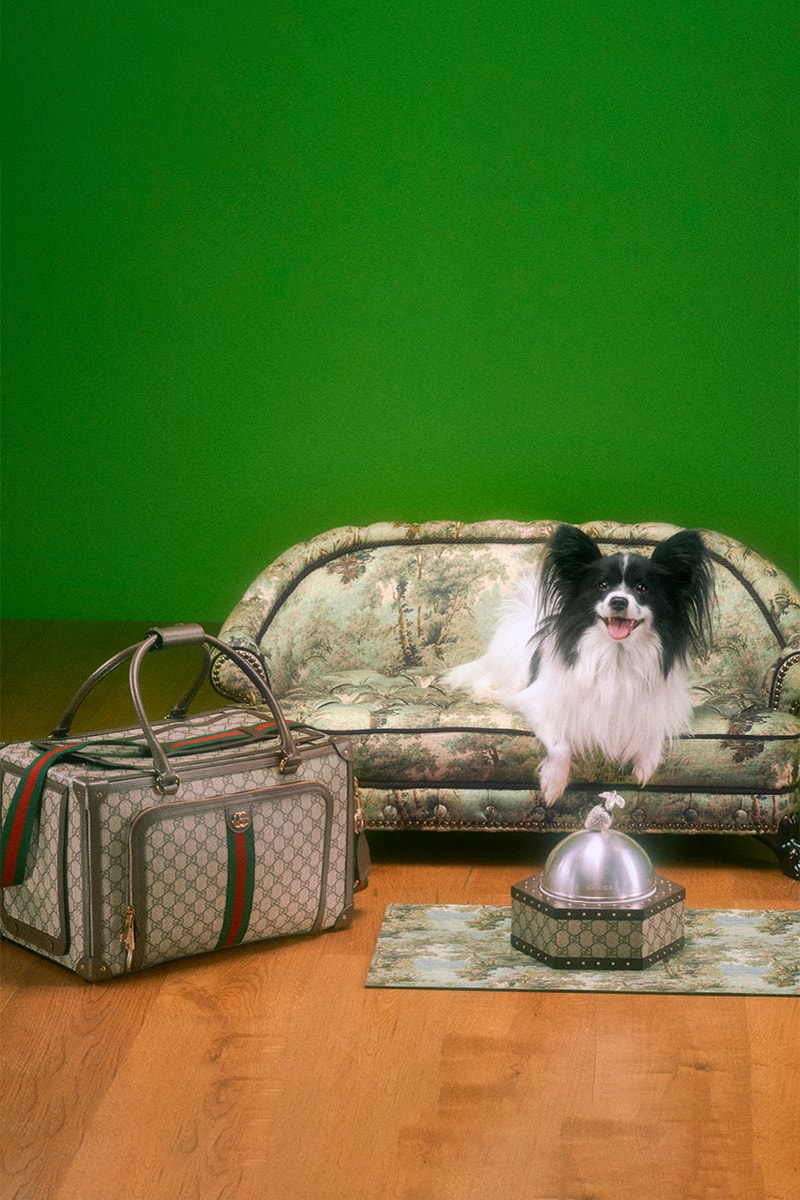 グッチから新たにペットコレクションが誕生 gucci new pets collection release info