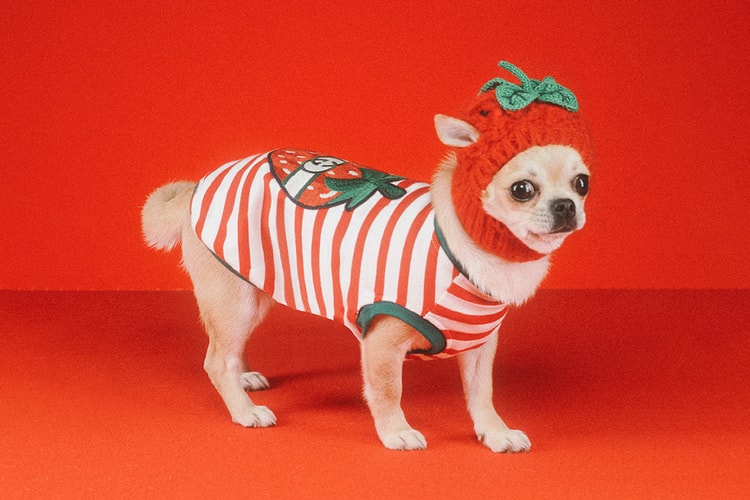 Gucci から新たにペットコレクションが誕生