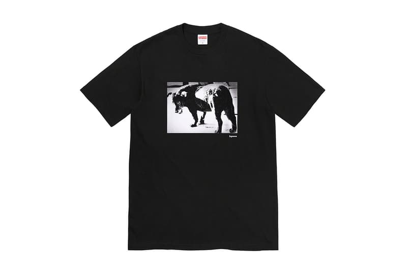 Supreme から2022年夏シーズンの Tシャツコレクションが到着 Supreme 2022 summer T-shirts Collection release info