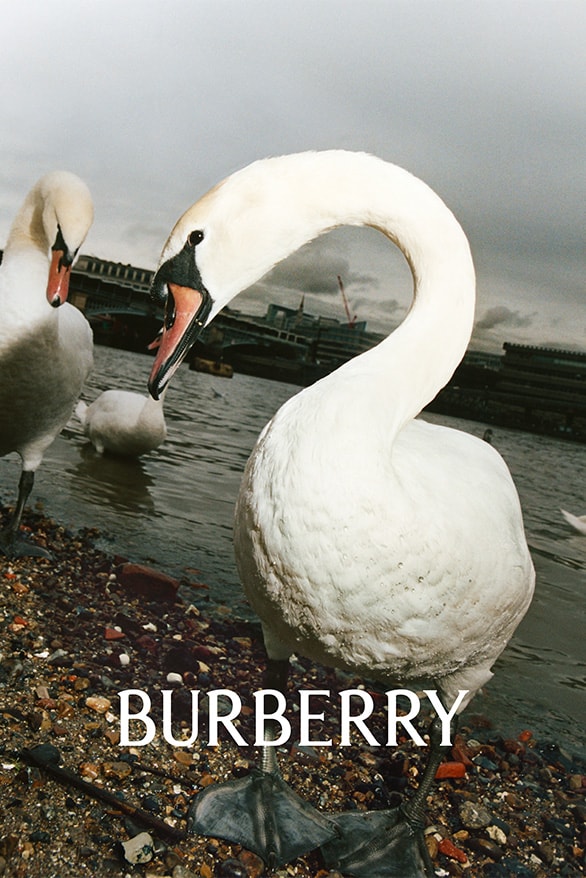 バーバリー Burberry がダニエル・リー体制下の新ロゴ & キャンペーンビジュアルを発表