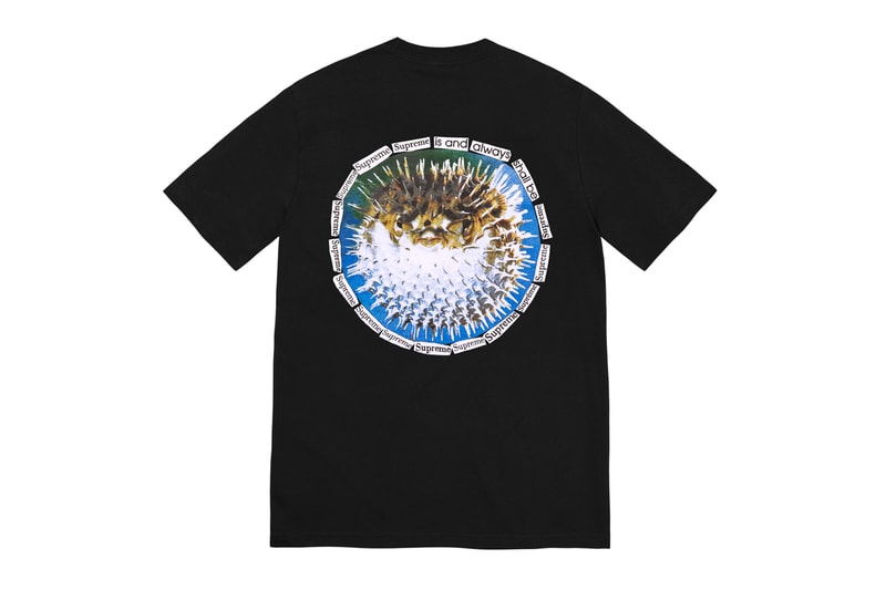 シュプリームが2023年夏シーズンのTシャツ・コレクションを発表 supreme summer 2023 tees t shirts collection mobb deep motion logo official release date info photos price store list buying guide