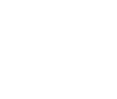 Toy in boys land