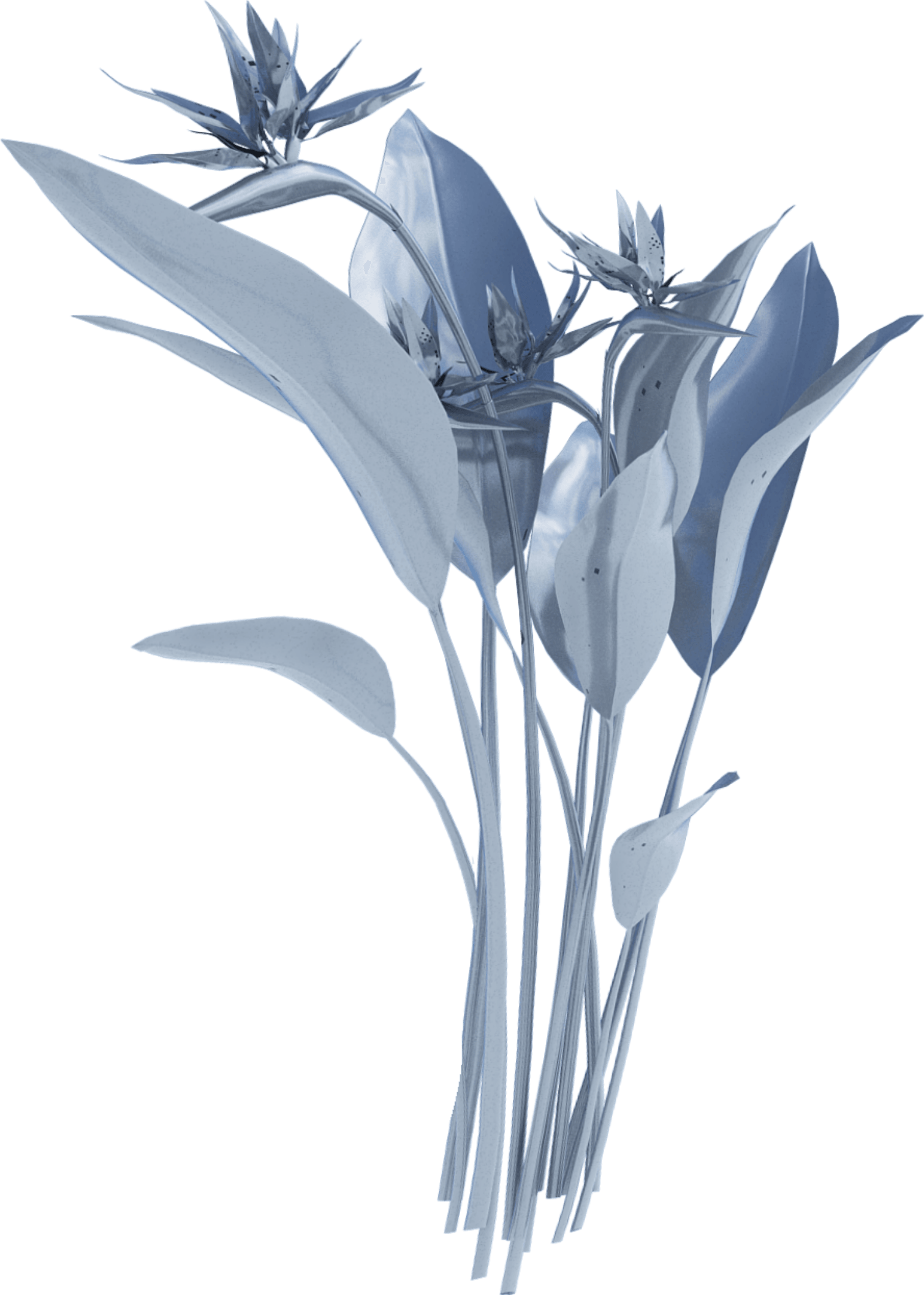 地球上のすべての人をエンパワーする潜在能力抜群のガールズグループ XG が創る新たな世界