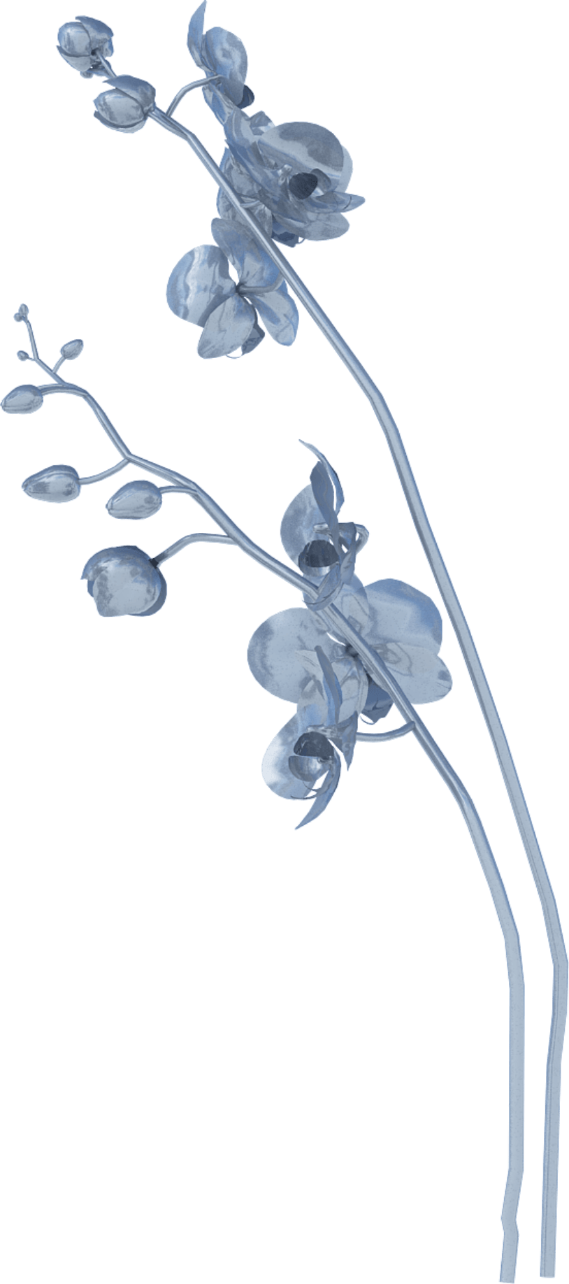 地球上のすべての人をエンパワーする潜在能力抜群のガールズグループ XG が創る新たな世界