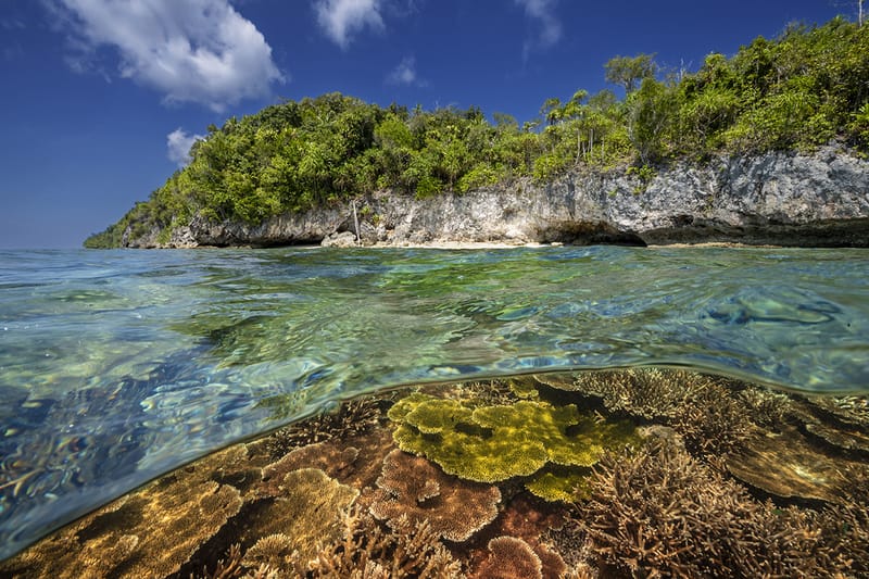 Prada Re-Nylon が National Geographic Creative Works とのコラボレーション第2弾を発表