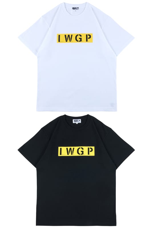MLE × 池袋ウエストゲートパーク 窪塚洋介 Tシャツ IWGP XL メディコム 