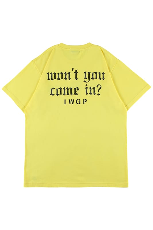 MLE × 池袋ウエストゲートパーク 窪塚洋介 Tシャツ IWGP XL メディコム 