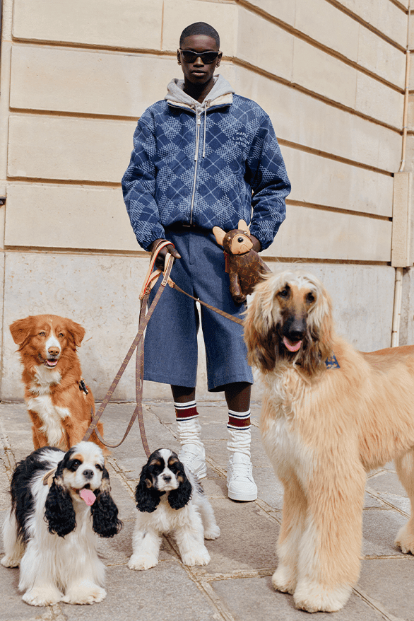 ルイ・ヴィトン 2025年春夏プレコレクション louis vuitton 2025 pre spring summer collection lookbooks