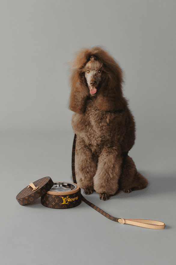 ルイ・ヴィトン 2025年春夏プレコレクション louis vuitton 2025 pre spring summer collection lookbooks