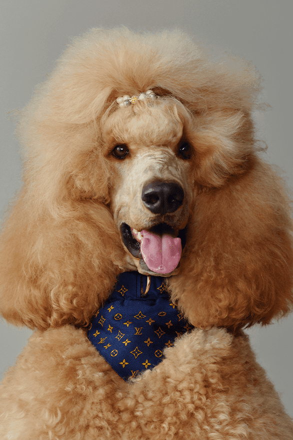 ルイ・ヴィトン 2025年春夏プレコレクション louis vuitton 2025 pre spring summer collection lookbooks