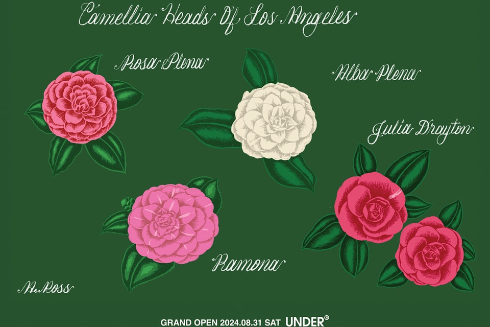 貴重【Ron Herman ×Rocky Mountain まるっこい 】辻堂店オープン記念 