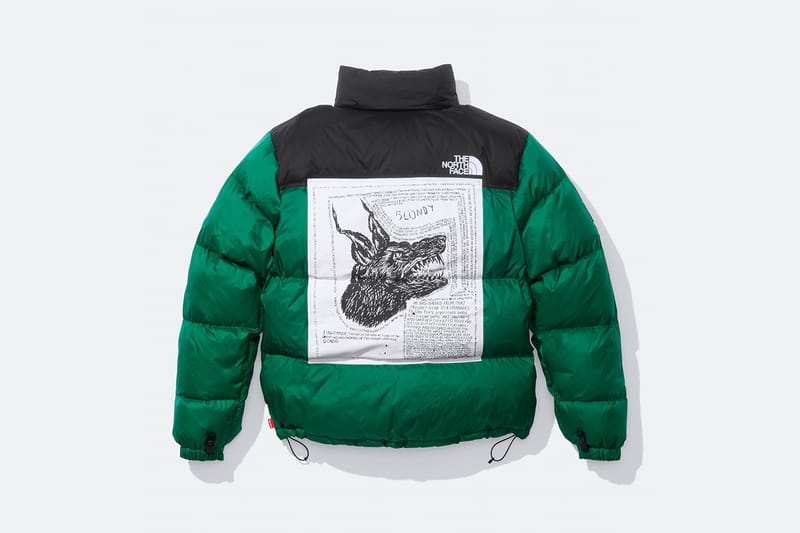 SUPREME(シュプリーム)×THE NORTH FACE ノースフェイス 16AW Leaves 