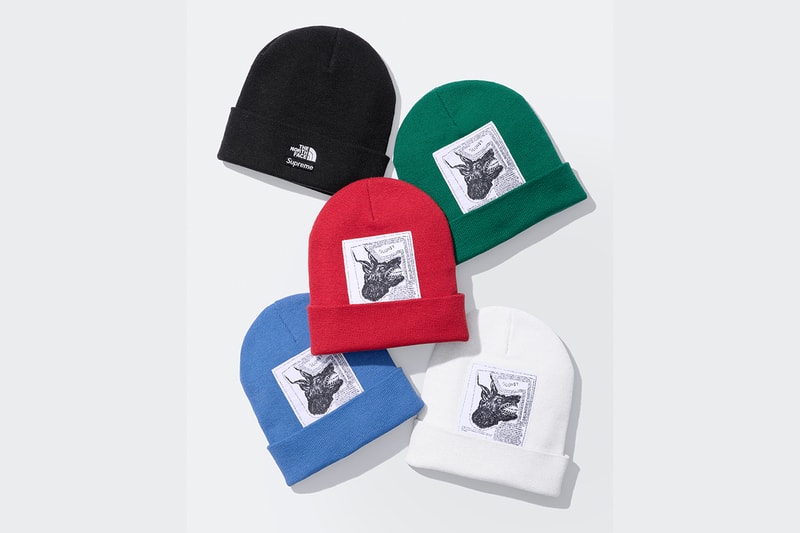 シュプリーム x ザ・ノース・フェイスによる2024年秋シーズンのコラボコレクションが発売 Supreme x THE NORTH FACE fall 2024 release info
