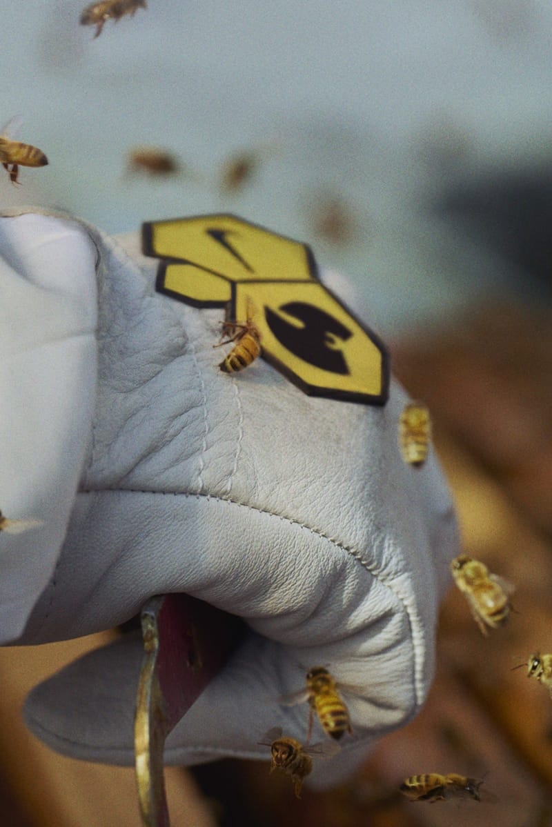 ウータン・クラン x ナイキ ダンク ハイの発売情報が解禁 Wu-Tang Clan x Nike Dunk High  black and Pollen release info