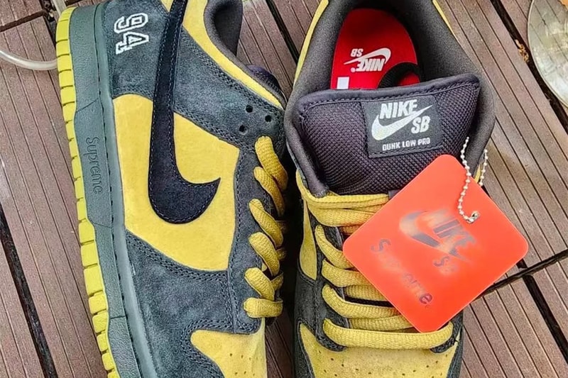 シュプリーム x ナイキ SB ダンクローのビジュアルが浮上 Supreme x Nike SB Dunk Low first look