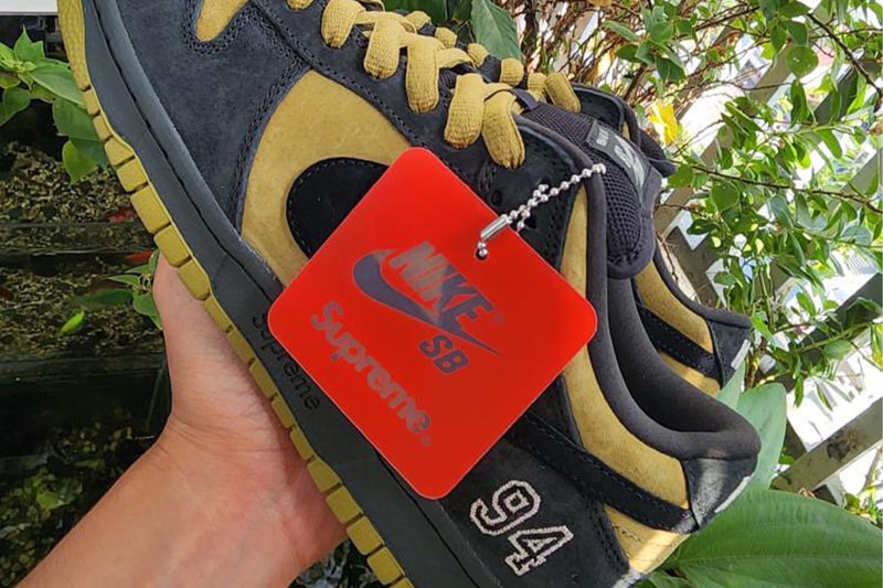 シュプリーム x ナイキ SB ダンクローのビジュアルが浮上 Supreme x Nike SB Dunk Low first look