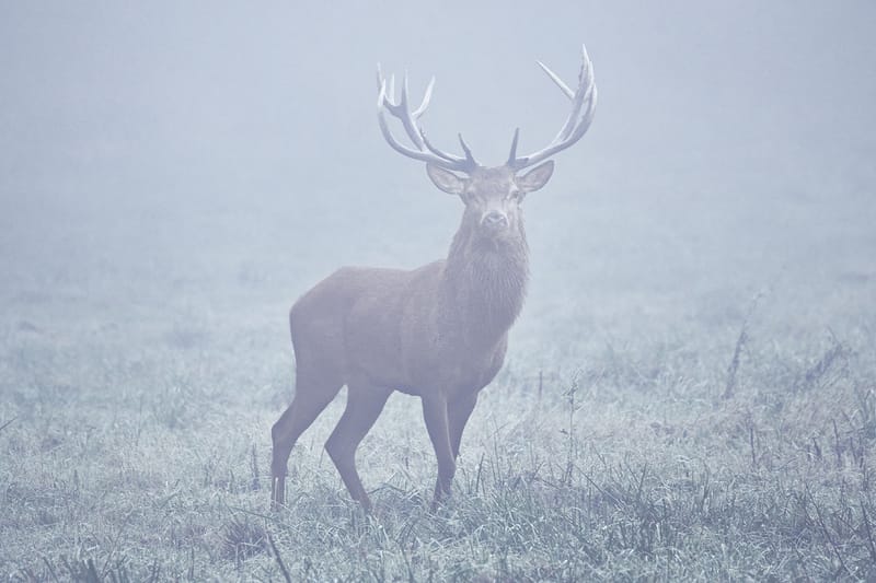 KYOTOGRAPHIE 京都国際写真祭 2025で見るべき1枚はどれ？