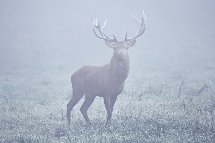 KYOTOGRAPHIE 京都国際写真祭 2025で見るべき1枚はどれ?