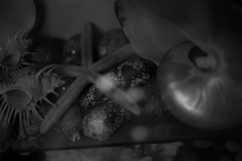 写真家・沢渡朔の個展 “AWA no HIBI” がヒステリックグラマー渋谷店で開催 Hajime Sawatari AWA no HIBI HYSTERIC GLAMOUR SHIBUYA Akio Nagasawa Gallery Aoyama