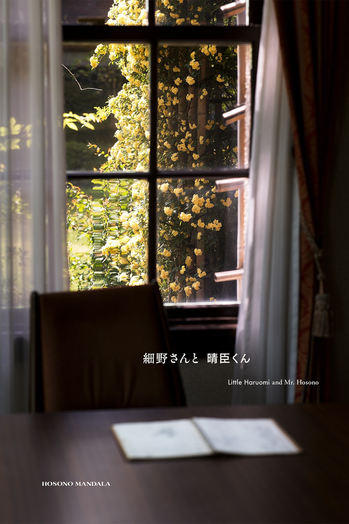 細野晴臣のデビュー55周年記念プロジェクト ホソノ マンダラが始動 HARUOMI HOSONO HOSONO MANDALA 55th anniversary project info