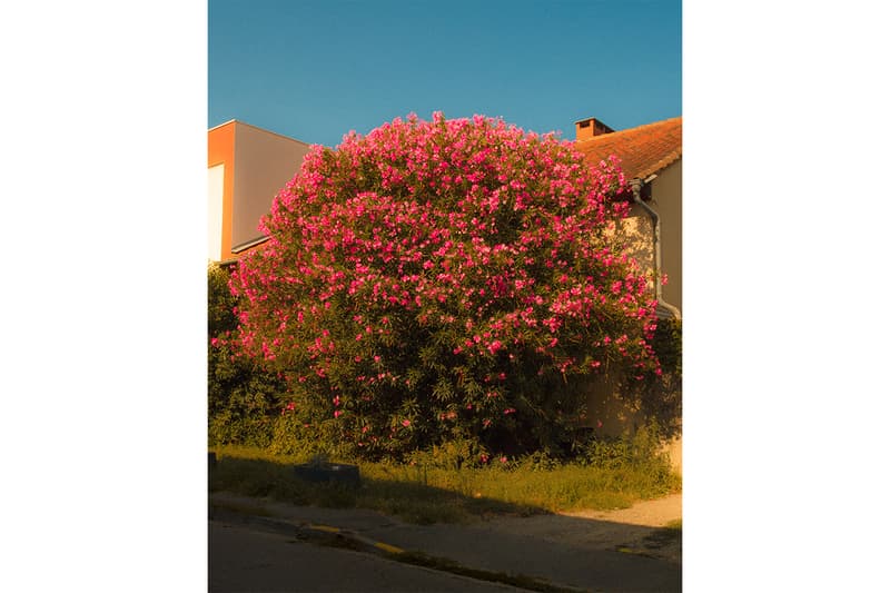 タク ツツイによる写真展”セイム オールド”がスタジオ4Nにて開催 22 taku tsutsui same old studio 4n release info