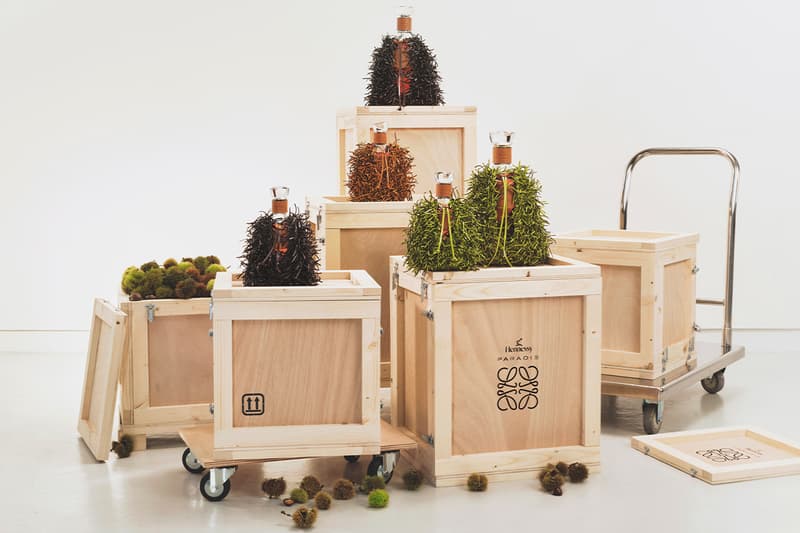LOEWE が ヘネシー パラディを着せ替え──栗のイガに着想したレザーネスト仕様の特別コニャックが登場Hennessy