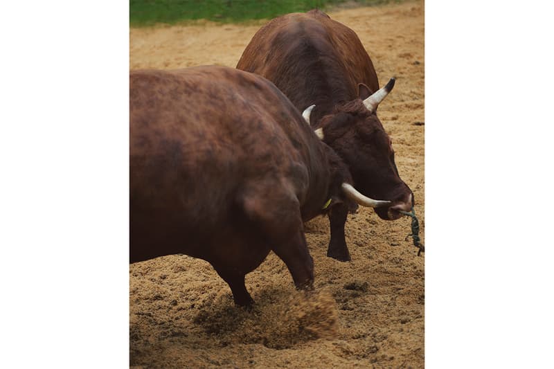 ノンネイティブxティンバーランドより最新コラボ CHUKKA BOOT VIBRAM GTX が登場 timberland nonnative chukka boot vibram gtx release info