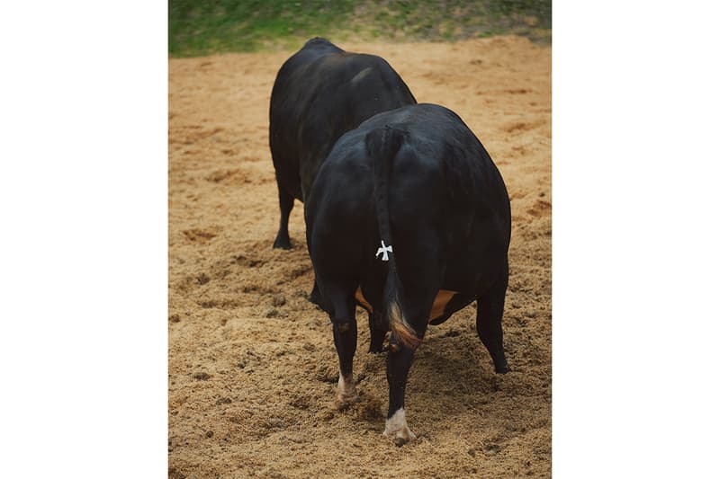 ノンネイティブxティンバーランドより最新コラボ CHUKKA BOOT VIBRAM GTX が登場 timberland nonnative chukka boot vibram gtx release info