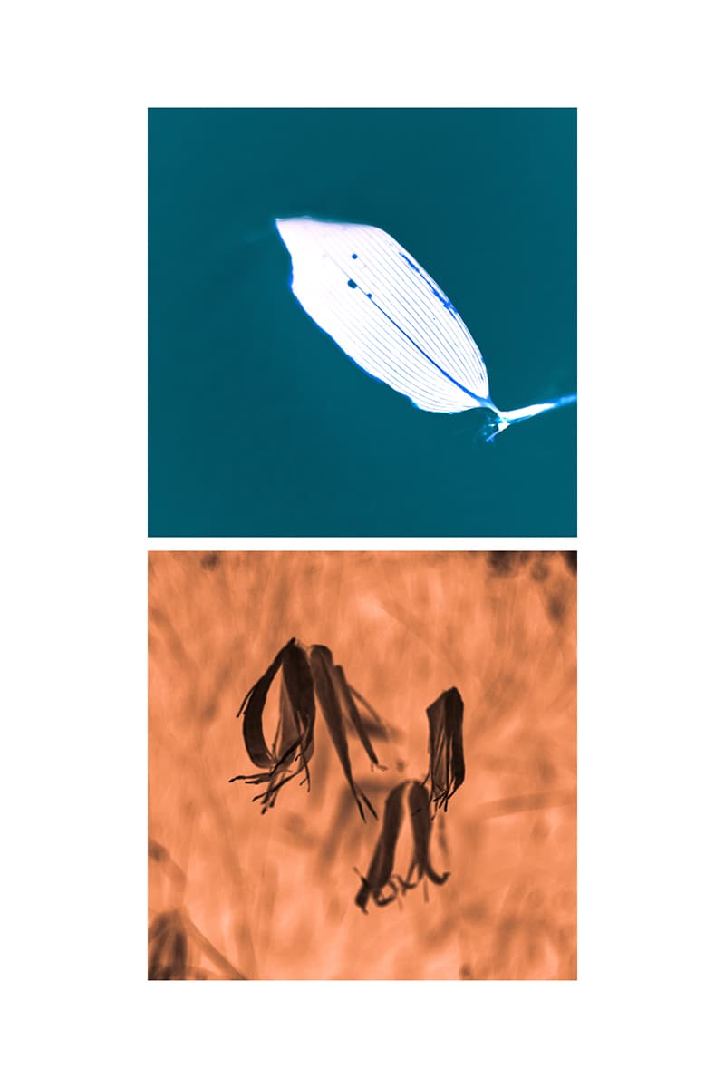 ゴールドウィン 2025年秋冬コレクション goldwin 2025 autumn winter collection look books