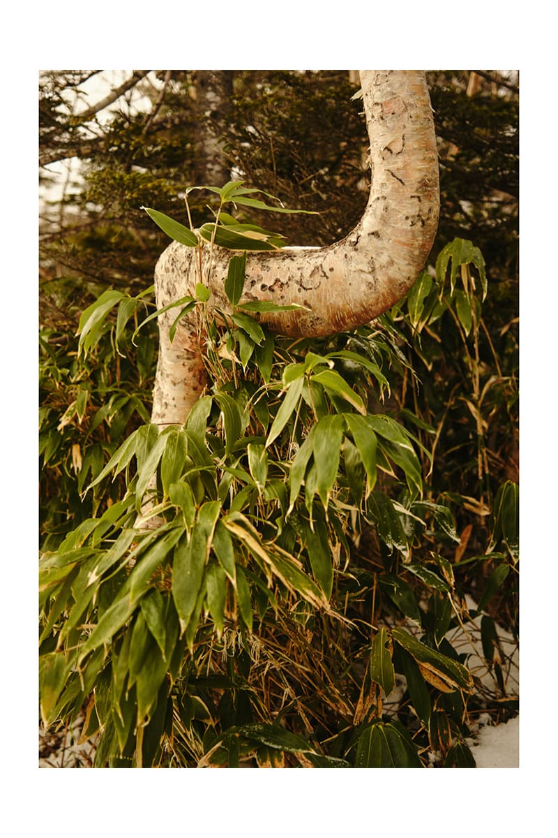 ゴールドウィン 2025年秋冬コレクション goldwin 2025 autumn winter collection look books