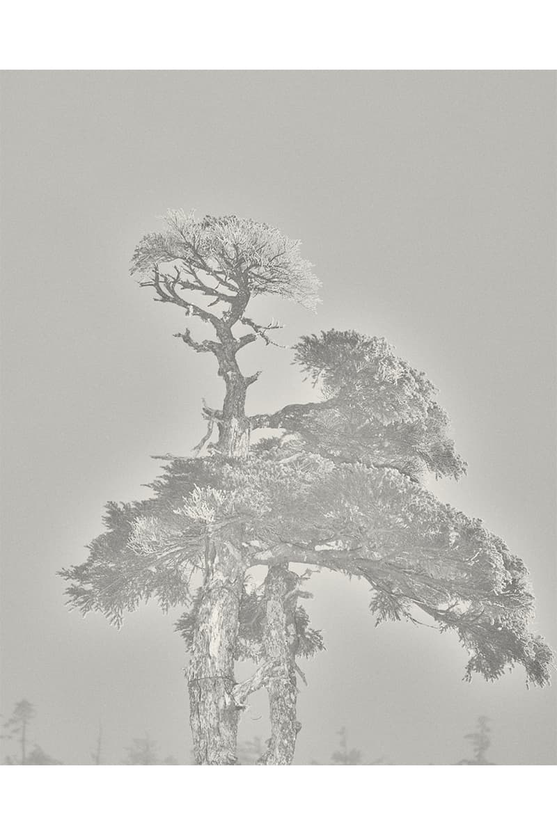 ゴールドウィン 2025年秋冬コレクション goldwin 2025 autumn winter collection look books