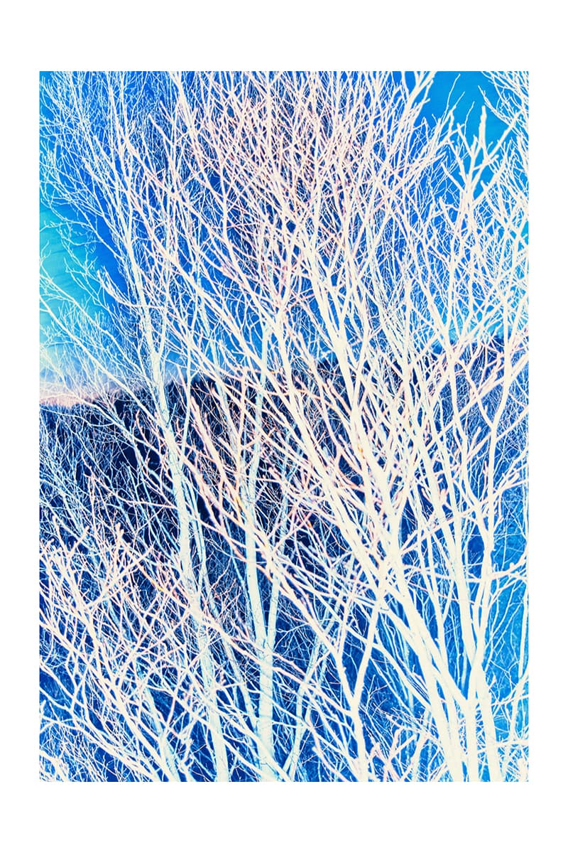 ゴールドウィン 2025年秋冬コレクション goldwin 2025 autumn winter collection look books