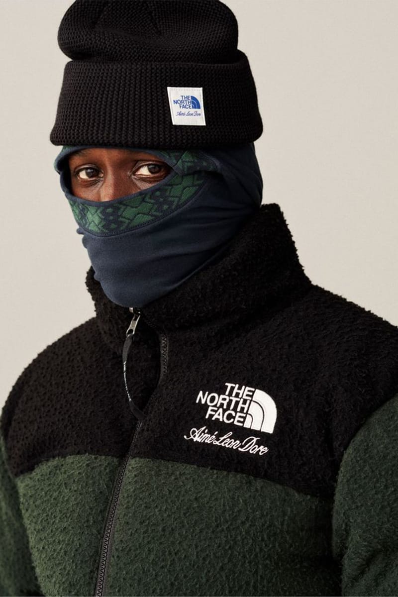 THE NORTH FACE エメレオンドレ フーディー パーカー Mサイズ Leon 