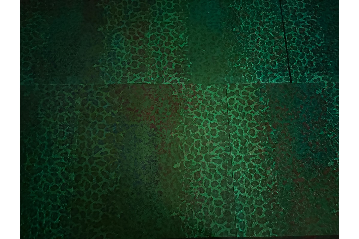 ストーンアイランドのコレクターにしてギークアウトストアキュレーターである Chokkan という存在 | Interviews stone island collector geek out store curator chokkan interviews