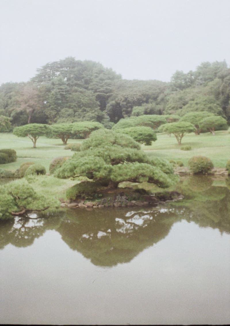 オロヒーがジャックポットにて東京初のポップアップを開催 ohrohee jackpot pop up store open info